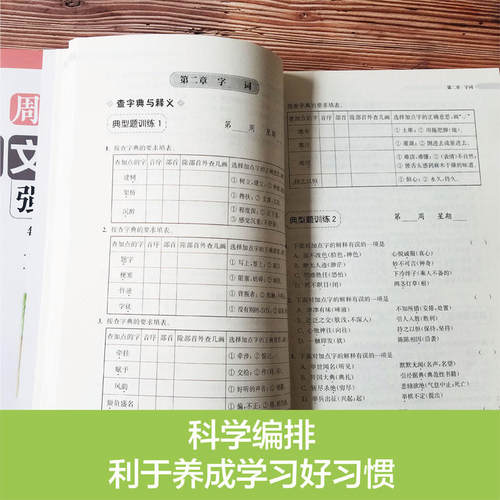【当当网 正版书籍】周计划：小学语文阅读+基础知识+文言文阅读强化训练100篇（五年级）（套装共3册） - 图2