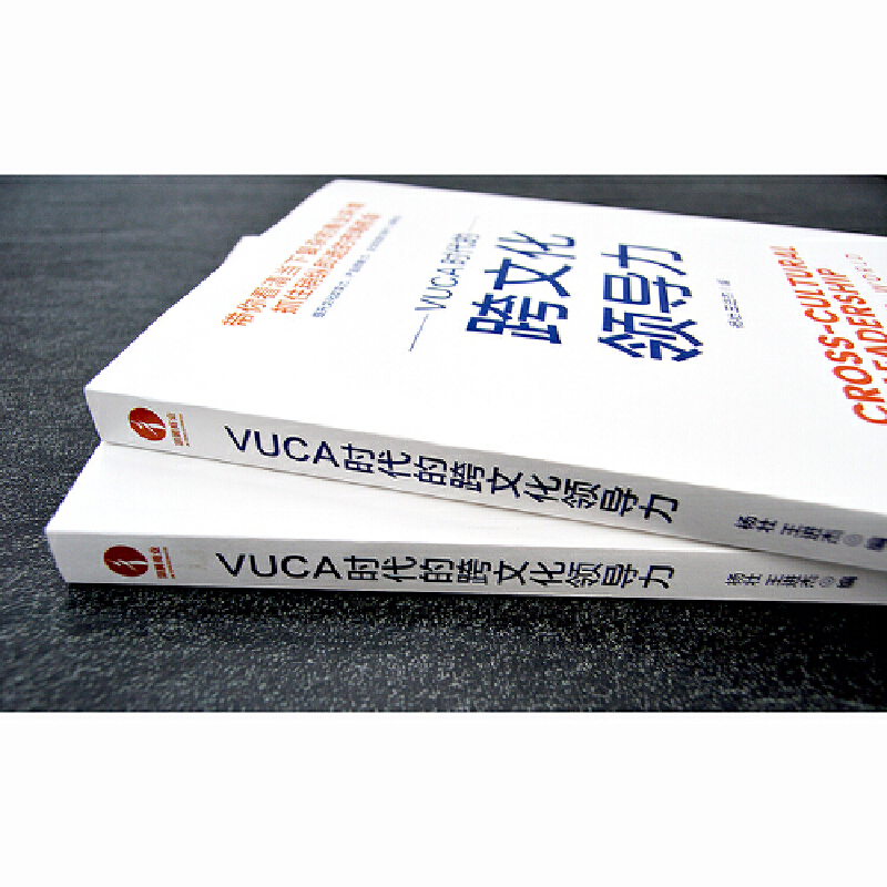 VUCA时代的跨文化领导力 企业管理 团队建设 多元文化交融 跨国企业案例 - 图1