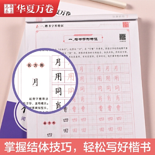 华夏万卷控笔训练字帖 硬笔书法入门教程3本套:笔画+结构+速成 卢中南钢笔楷书字帖成人学生描红练字帖(赠田字格)