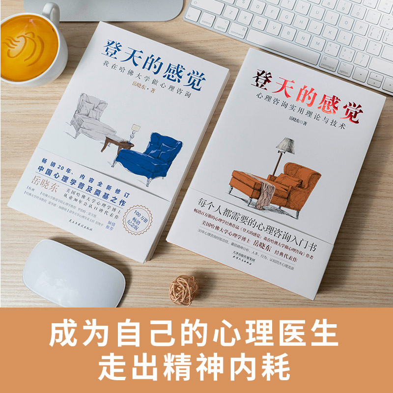 当当网 登天的感觉:心理咨询实用理论与技术  岳晓东40年心理咨询经验总结 心理咨询入门书籍正版 精神分析人本行为认知 正版书籍 - 图2