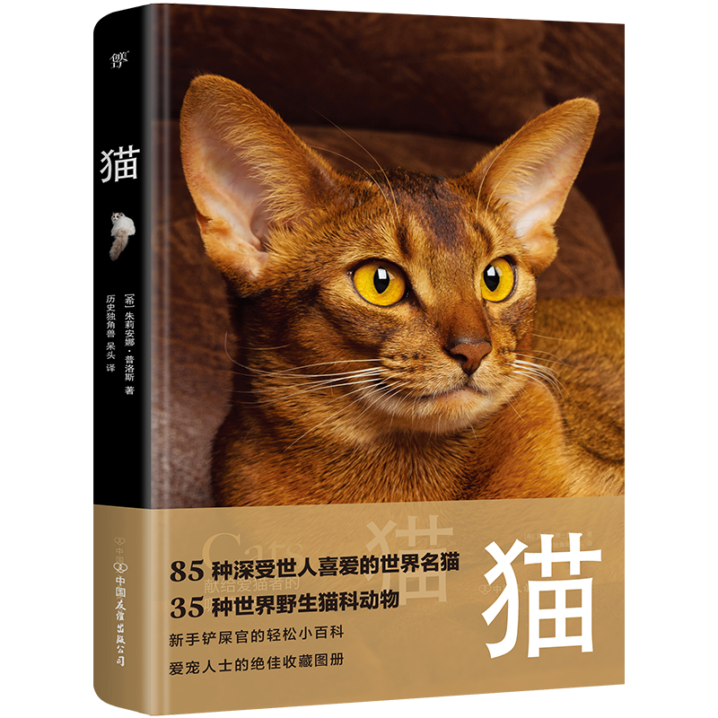 猫 DK猫（野猫家猫百科大全，85种世界名猫，35种野生猫科动物。精装全彩印刷，200+高清美图，附赠手账+图鉴+书签）-图0