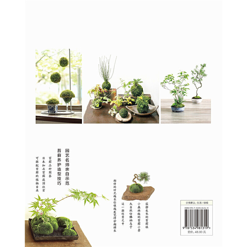 当当网 玩苔藓：六大名师教你手制苔藓球和苔藓小景 正版书籍,淘宝优惠券,粉丝福利购,淘宝优惠卷