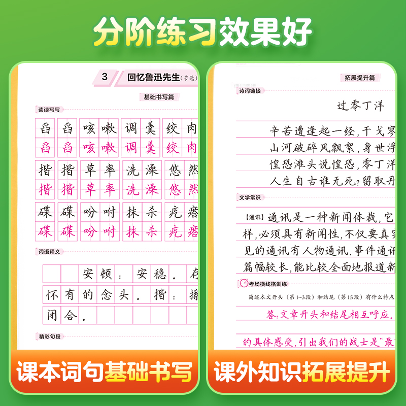 华夏万卷 七年级下册语文同步练字帖 初中生写字课课练 2024春季7年级RJ人教版 学生练字本天天练生字抄写本（共2册） - 图2