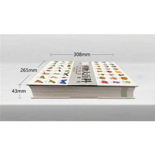 当当网正版童书 dk博物大百科中文正版儿童百科全书动物恐龙植物生物太空人体地球自然科普6-7-10岁精装绘本一年级小学生课外阅读 - 图3