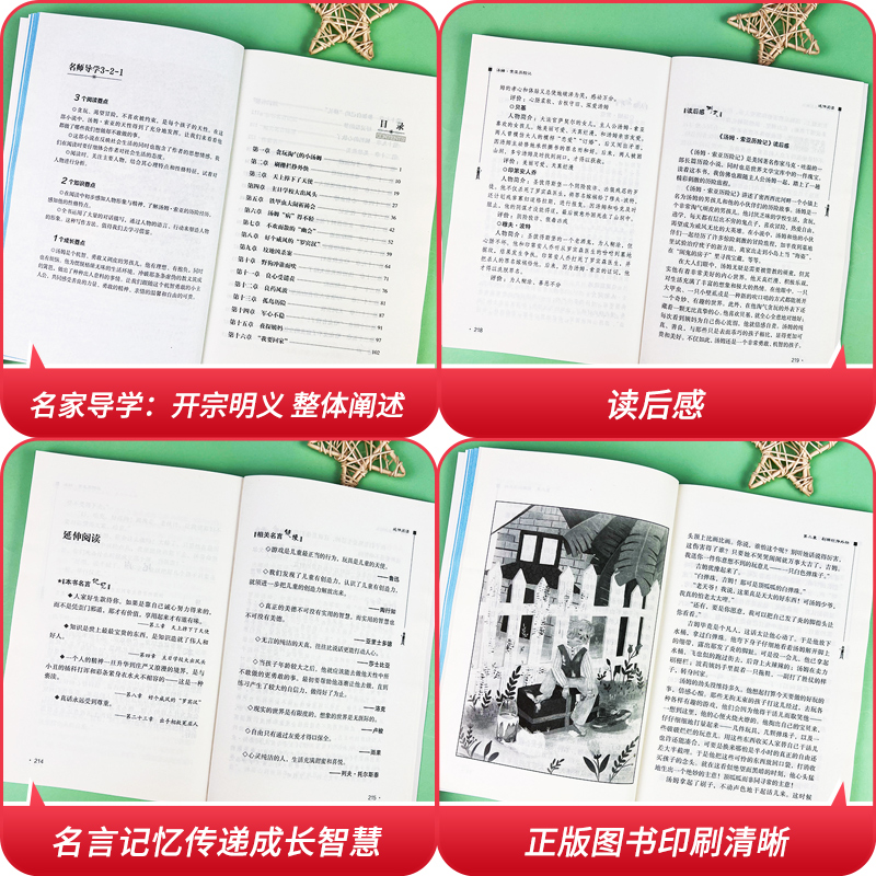 汤姆索亚历险记六年级下册的课外书经典书目快乐读书吧6年级课外阅读书籍精编版 适合四五年级看的书故事书人教版 - 图3