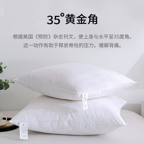 翼然100%鹅毛羽绒抱枕芯内胆鹅毛沙发靠垫芯腰靠枕芯枕芯30x50cm - 图2