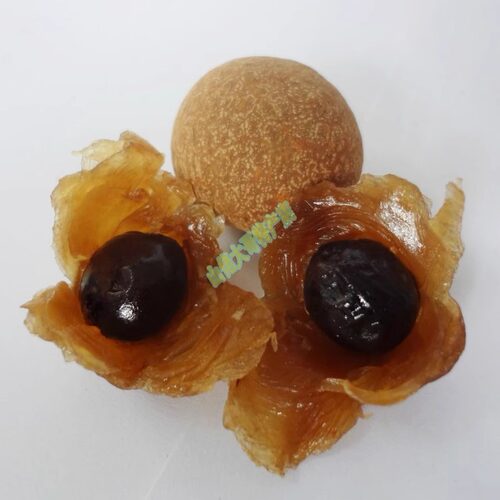 即食肉厚桂圆干龙眼干带壳桂园干500g包邮农家新货广西特产6a干货 - 图1