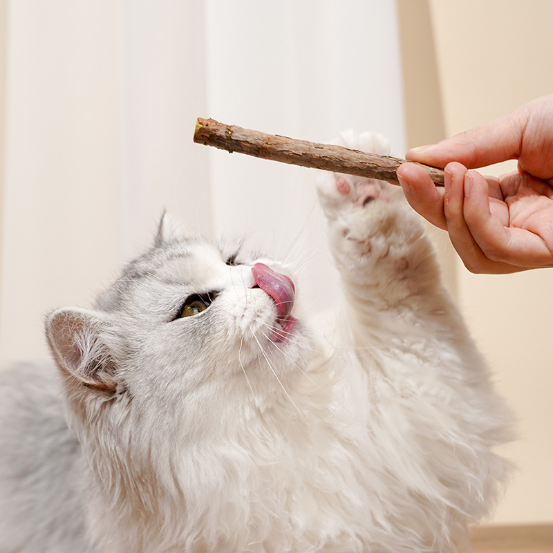 猫薄荷猫咪磨牙棒洁齿幼猫啃咬逗猫棒木天蓼奶猫小鱼干用品猫零食 - 图1