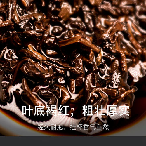 同庆号 金月天50g熟茶饼普洱茶云南大叶种老叶片滋味醇厚馥郁香陈 - 图2