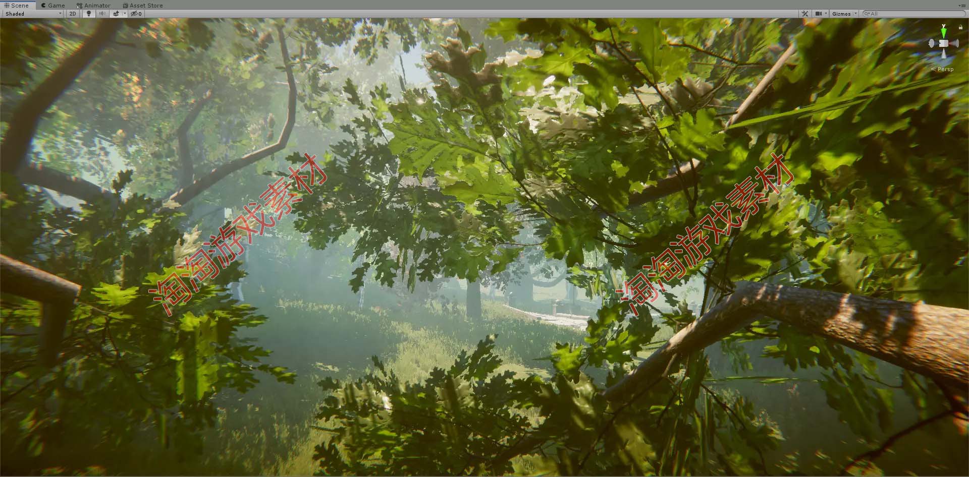 Unity3d Trees Bundle 1.0 多种树木森林HDRP场景模型 - 图3