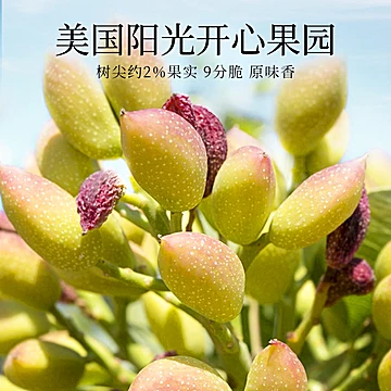 叠金币75.42元！新农哥大颗粒开心果500g[8元优惠券]-寻折猪