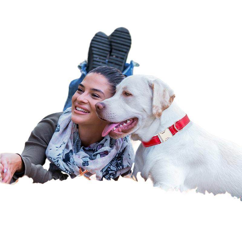 跨境爆款宠物小狗绳单肩斜挎多功能牵引解放双手防爆冲大狗牵引绳,淘宝优惠券,粉丝福利购,淘宝优惠卷