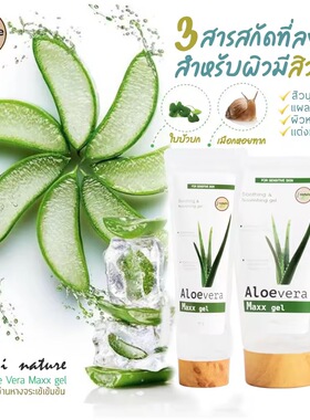 在途泰国Aloe vera芦荟凝胶 舒缓保湿天然润肤补水去角质晒后修复