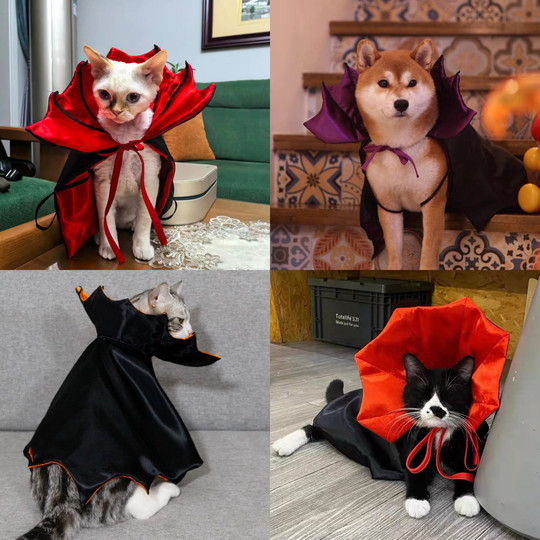 Pet halloween party dress up cat dog magic vampire cape funny funny cape photo props