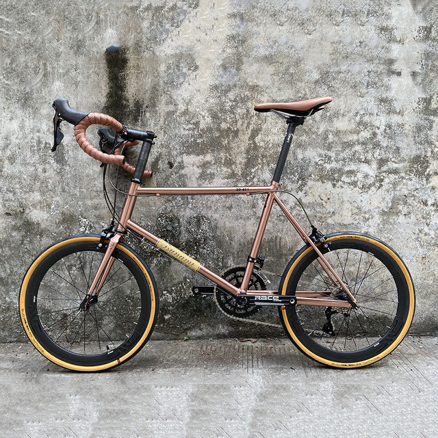 Tsunami 451 ultra-light assembled small wheel steel frame bicycle