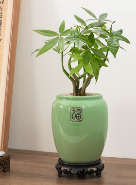 中式陶瓷花盆批发火焰南天竹发财树绿植盆栽高款福盆家居造景