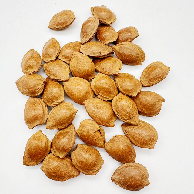 Xinjiang open apricot kernel 500g open hand peeled thin shell white almond apricot kernel almond nut roasted seeds and nuts specialty