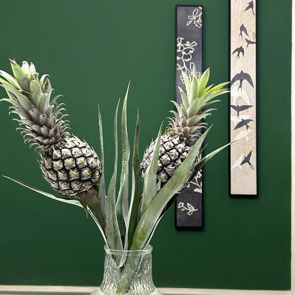 香水小菠萝黑凤梨观赏鲜切花新鲜水养可食用水培装饰鲜花空气清新,淘宝优惠券,粉丝福利购,淘宝优惠卷