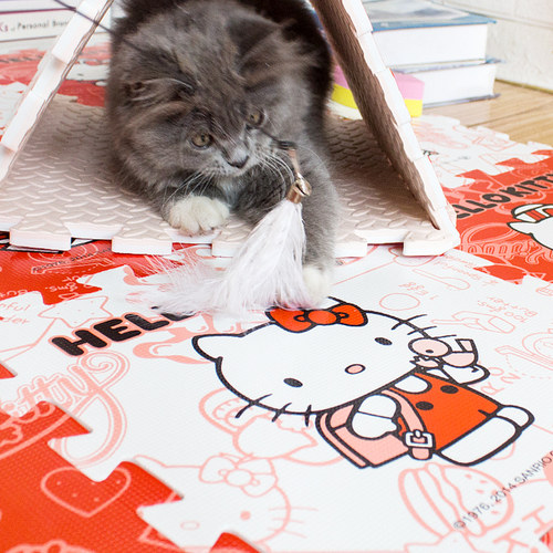 卡通环保无味拼接泡沫垫儿童爬行垫宝宝爬爬垫垫子床边垫榻榻米30 - 图2