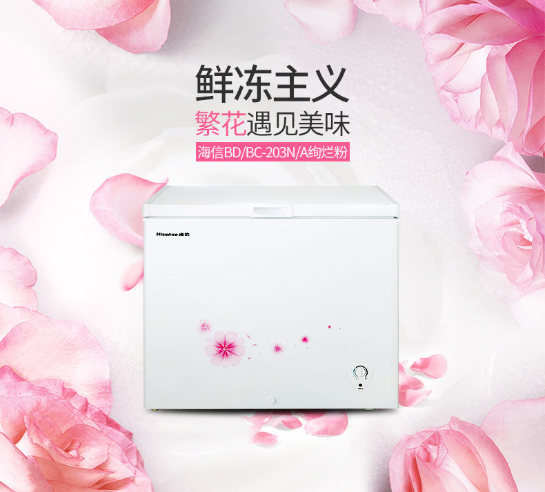 卧式冷柜 升冰柜家用小型冷冻冷藏 203 A 203N BC BD 海信 Hisense 卧式冷柜 升冰柜家用小型冷冻冷藏 203 A 203N BC BD 海信 Hisense
