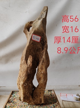 广西太湖石观赏摆件石盆景附石奇石天然原石头A01