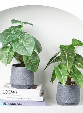 仿真绿植盆景北欧龟背假绿植盆栽客厅ins风装饰品桌面家居小摆件