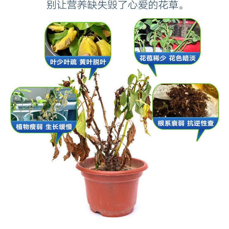 花肥料盆栽植物通用型家用养花便携花卉缓释肥绿植肥懒人营养棒,淘宝优惠券,粉丝福利购,淘宝优惠卷