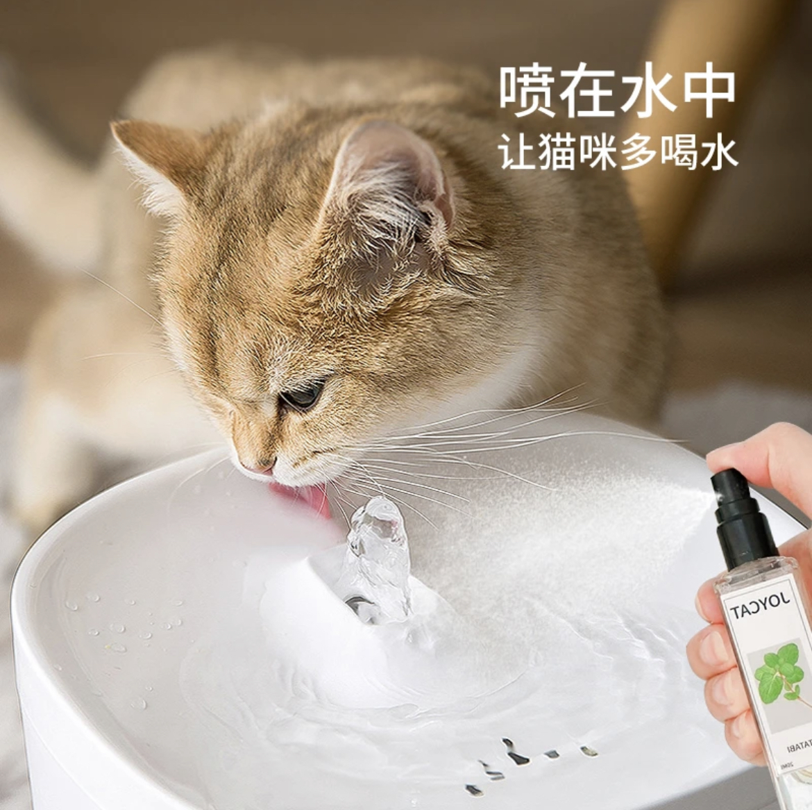 JoyCat喵喵快乐水猫薄荷虫瘿果提取液猫咪零食逗猫神器玩具喷雾 - 图1