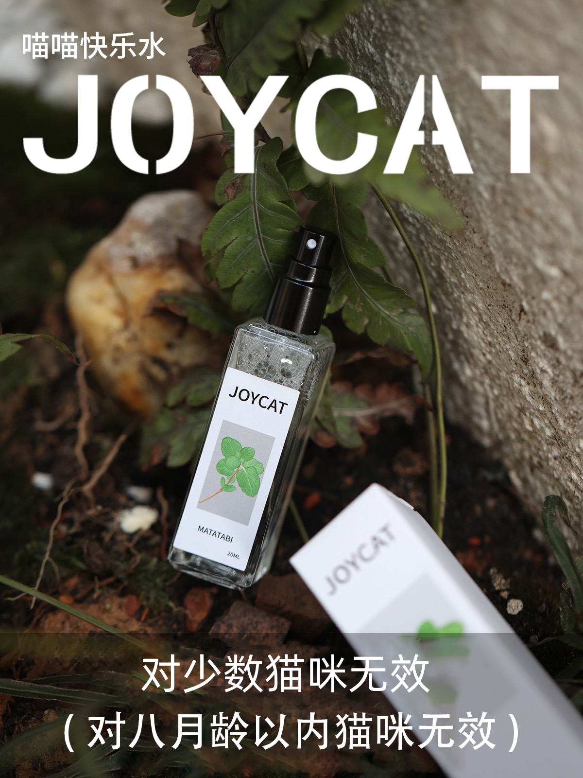 JoyCat喵喵快乐水猫薄荷虫瘿果提取液猫咪零食逗猫神器玩具喷雾 - 图2