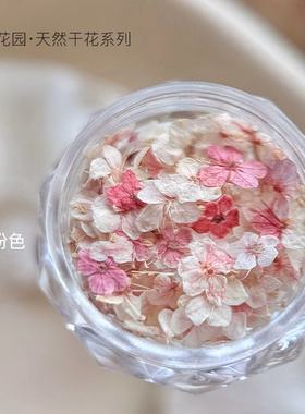 美甲干花混装素材莫奈花园迷你五瓣花材料紫色小碎花diy指甲饰品