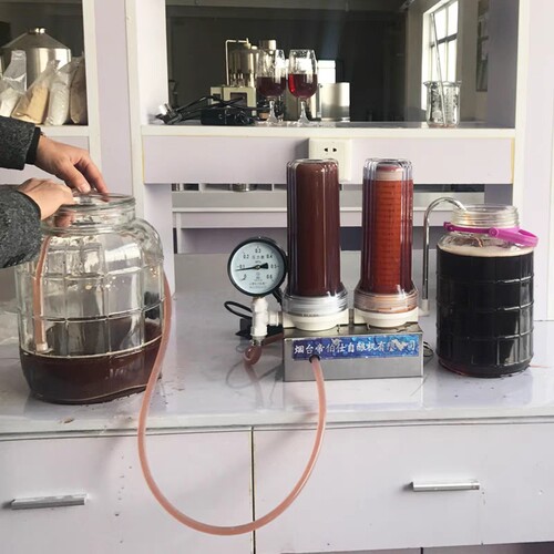 帝伯仕葡萄酒酒果酒过滤器家用小型白酒催陈机自酿黄酒过滤器超细 - 图3