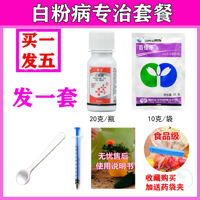 白粉病药专治专用药长寿花月季叶子发白长白粉白斑白霉病效生病药-图3