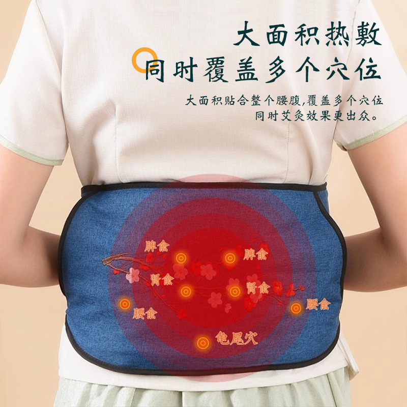 电加热艾灸宝热敷全身家用腹肚子暖护腰间盘部膝盖无烟热敷腰疼痛
