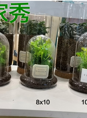 玻璃罩闷养植物容器透明玻璃