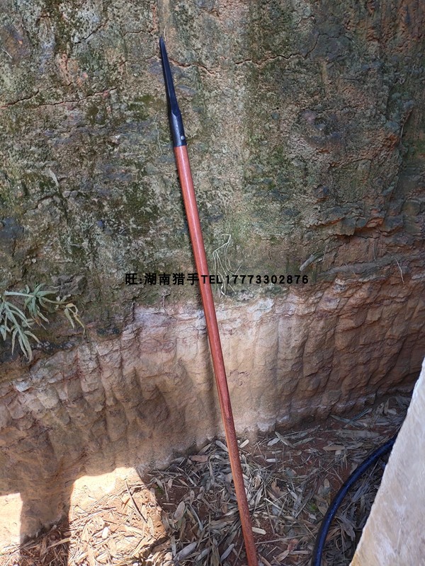 户外驴友登山杖杖头杖尖一体高碳钢硬锻打徒步越野爬山防身探险-图2