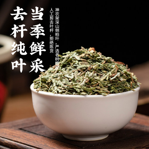 中药材 野生侧柏叶 中草药侧百叶干 泡酒 乌发生发 散装新货500g - 图0