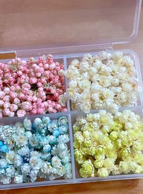 干花小玫瑰美甲干花装饰品