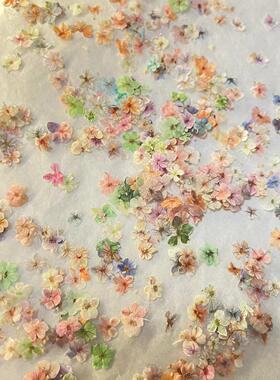【手工押花】爆款混色美甲干花饰品五瓣花美甲装饰品简约小清新