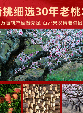 天然老桃木枝婴儿床头挂饰