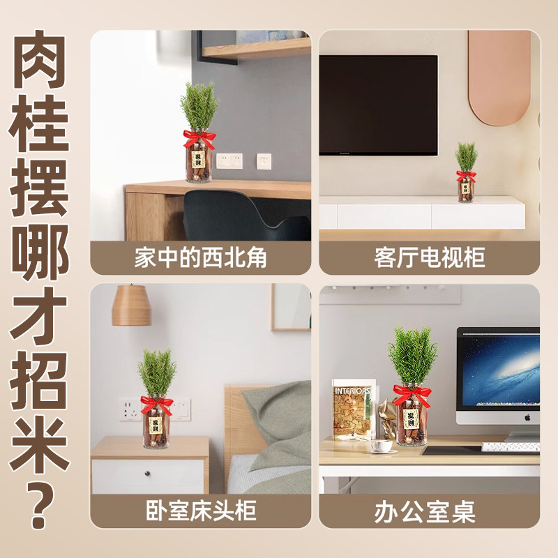 肉桂生财瓶招财聚财客厅ins风摆件玻璃瓶diy材料乔迁礼物搬家用品,淘宝优惠券,粉丝福利购,淘宝优惠卷