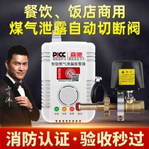 Gas Leak Alarm Natural Gas Liquefied Gas Gas Gas Automatic Cut Off Valve Hotel Catering Business