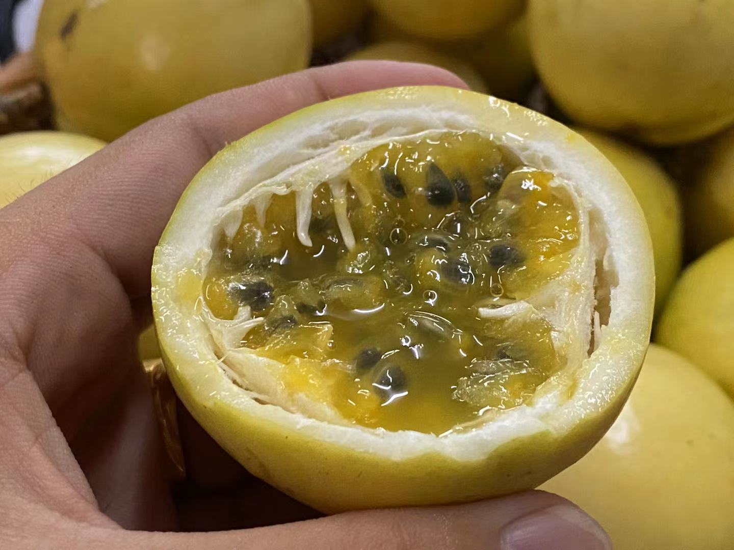 纯甜味海南黄金蜂蜜百香果新鲜芭乐图片_1
