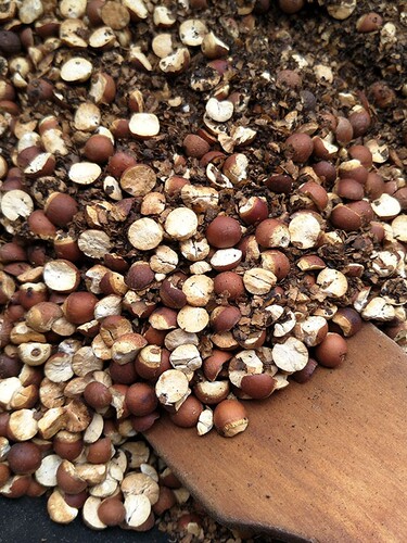 麸炒芡实熟芡实麦麸炒制半开芡实500g包邮农家熟芡实薏米赤小豆茶 - 图0