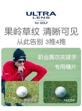 Swans狮王视高尔夫专用眼镜户外