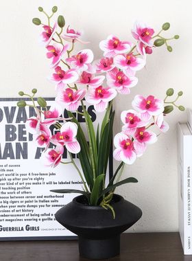 免打理陶瓷盆蝴蝶兰假花仿真花盆栽感客厅装饰家居摆件装饰品