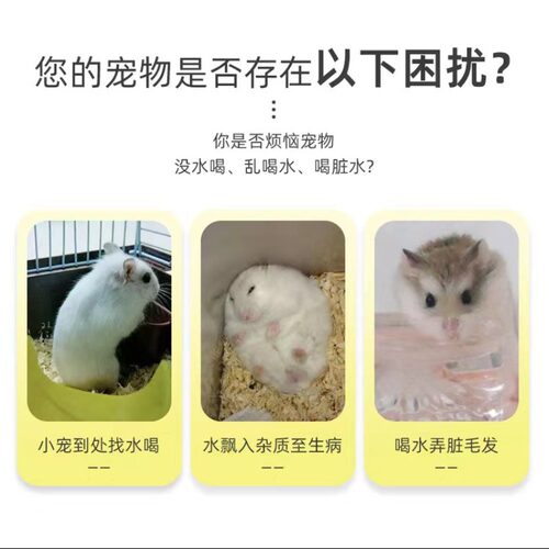 仓鼠滚珠饮水器荷兰猪喝水器水瓶金丝熊喝水壶兔子饮水机喂水器 - 图0