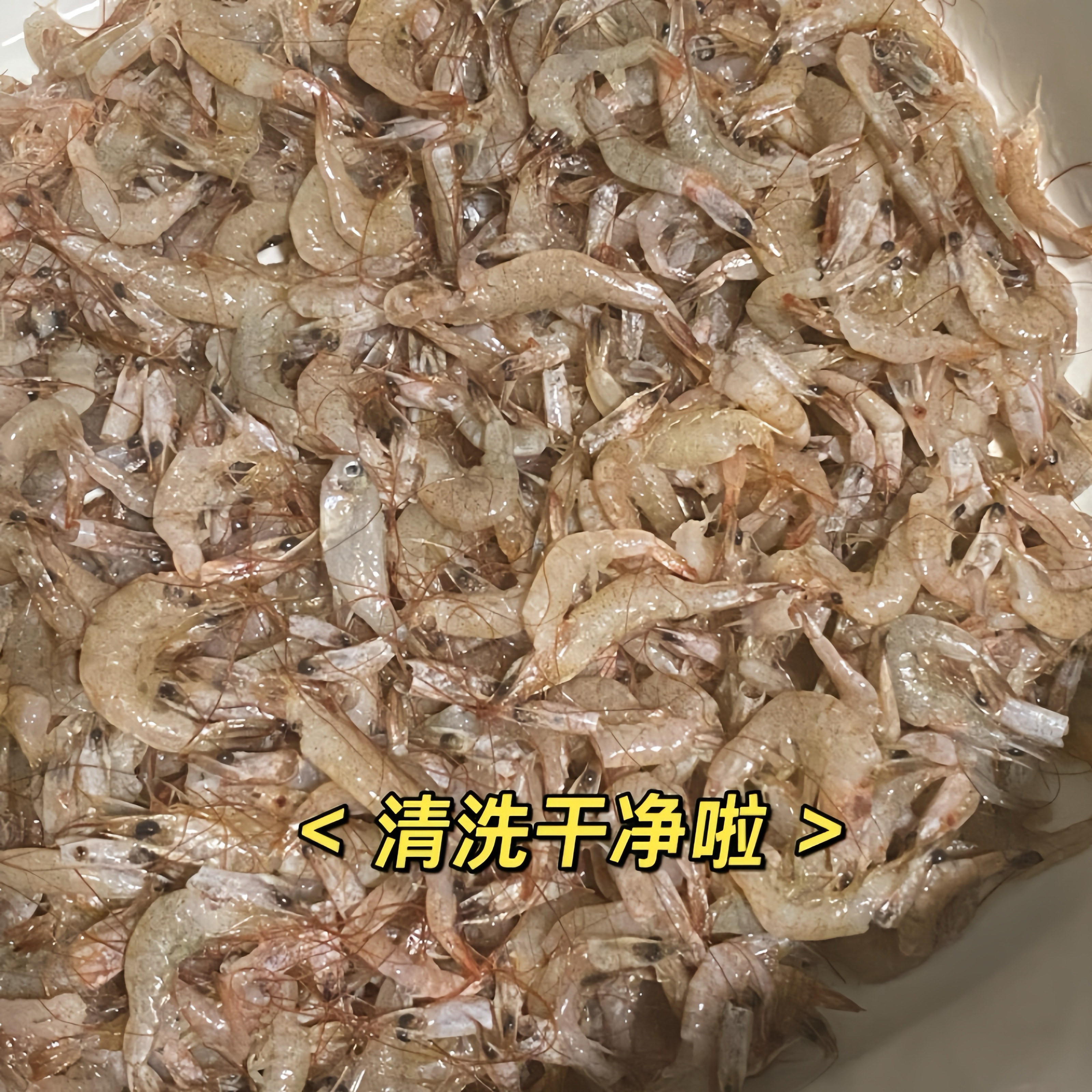 鲜烘焙仓鼠淡水虾干散装鱼干金丝熊零食花枝鼠增肥乌龟饲料自配粮,淘宝优惠券,粉丝福利购,淘宝优惠卷