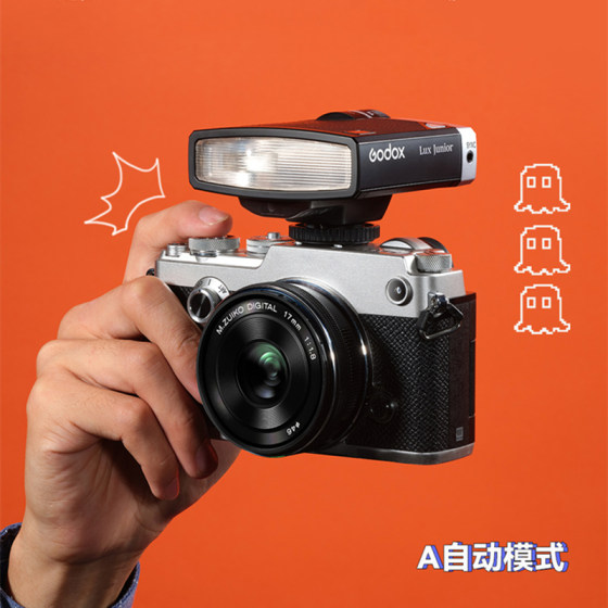 Godox LuxJunior Retro Camera Flash