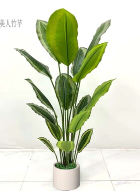 仿真美人竹芋盆栽大型假树植物花