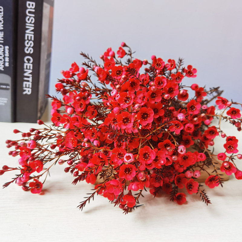 腊梅花鲜花云南基地直发插花瓶水养培冬季鲜切花同城速递耐寒花卉,淘宝优惠券,粉丝福利购,淘宝优惠卷